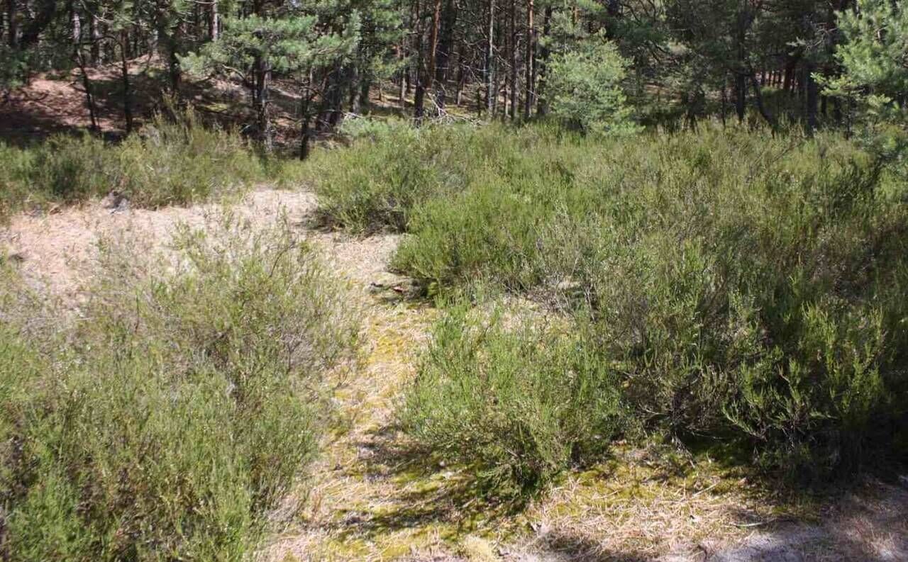 Słowiński park narodowy