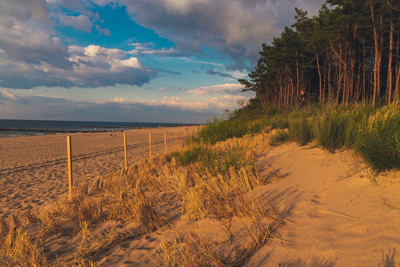 plaża na półwyspie helskim