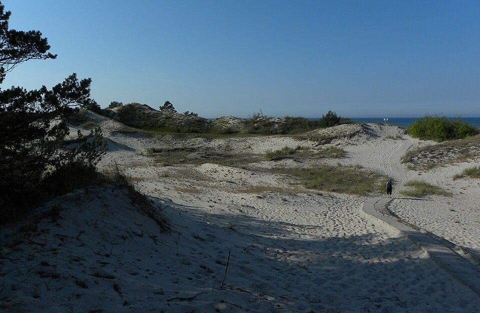 Rezerwat Helskie Wydmy