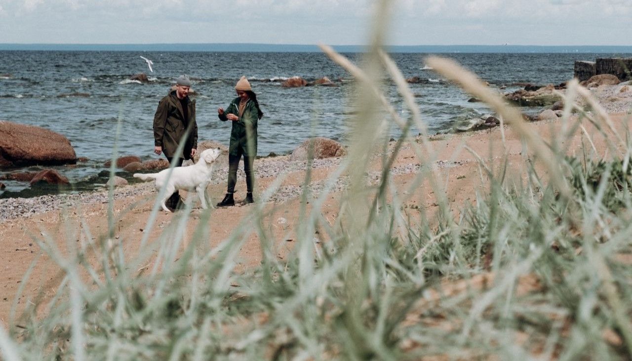 para spędzająca rocznicę na plaży nad morzem z psem